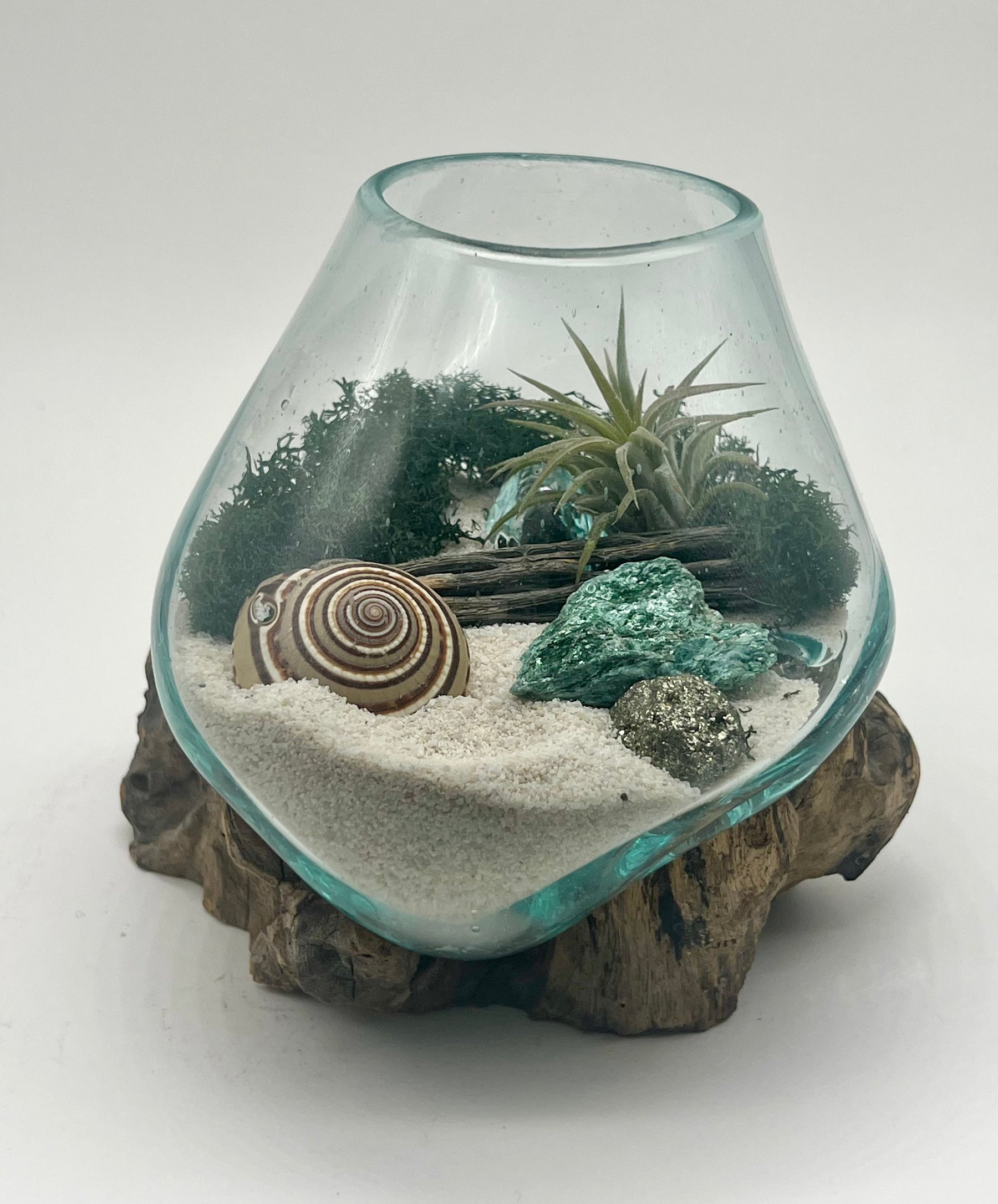 Bring the Beach Indoors: A Look at Our Nature-Filled Glass Terrarium