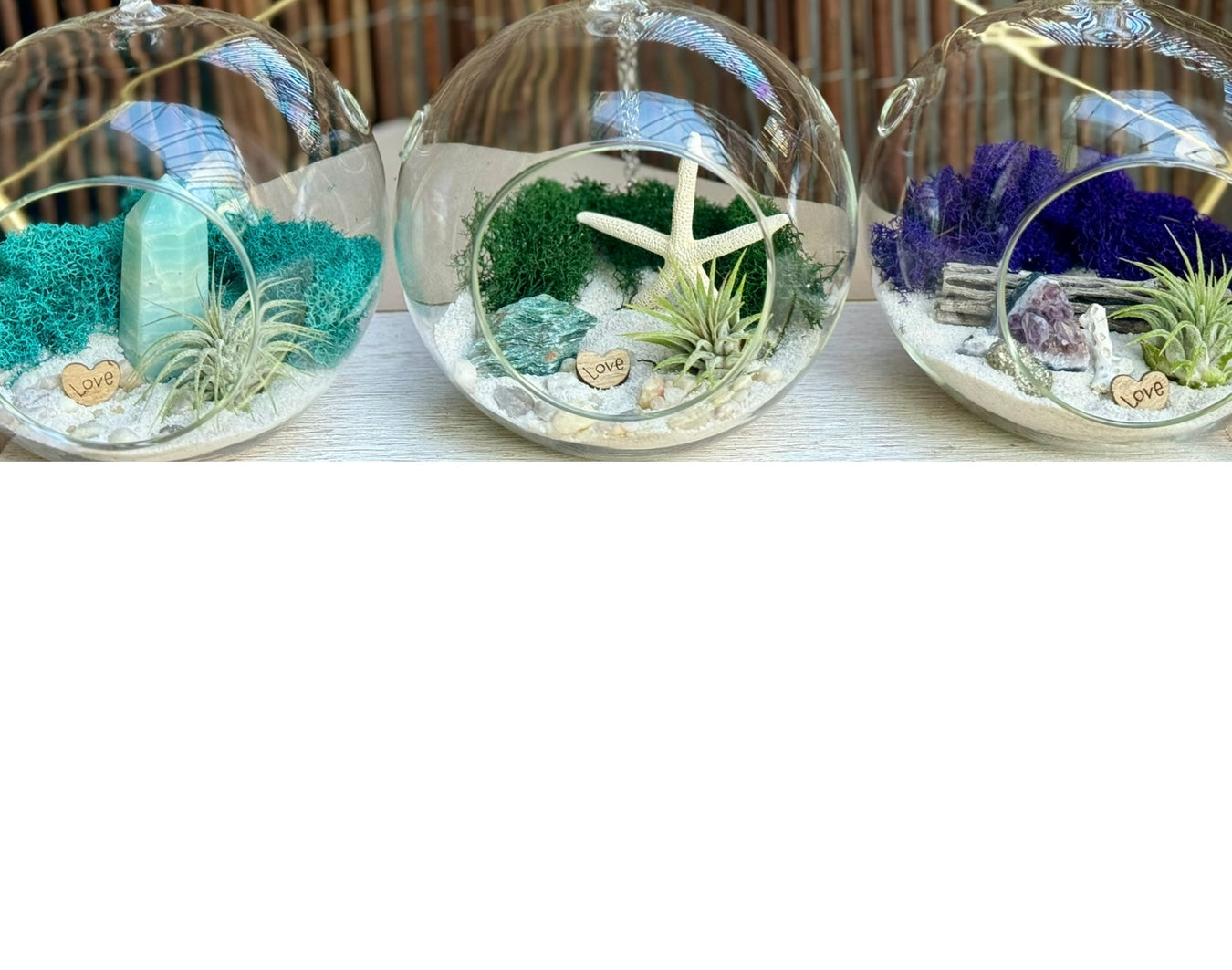 Hanging Glass Globe Terrariums