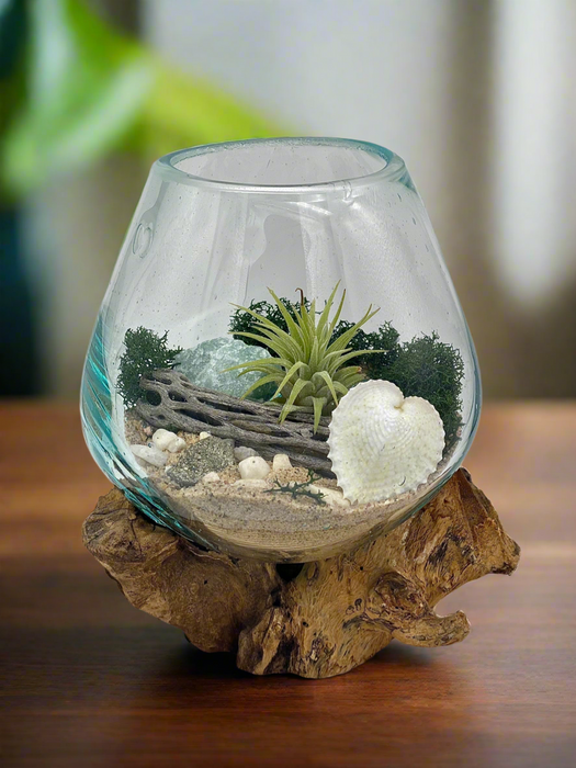 A Plant Lover Gift! Hand Blown Glass Home Decor for Plant Lovers with a Nature-Inspired Twist