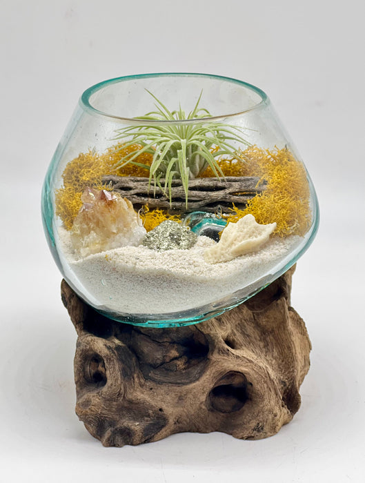 Golden Days Air Plant Terrarium Kit | Hand-Blown Glass on Wood | Citrine & Pyrite Crystals | DIY Coastal Decor | Nature-Inspired Gift