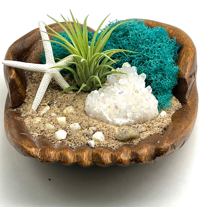 Angel Aura Crystal Air Plant Holder | Hand-Carved Wood Hands | Starfish + Moss Decor | Nature-Inspired Coastal Shelf Display Gift