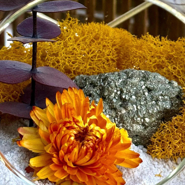 Pyrite Gold DIY Terrarium Kit with Preserved Chrysanthemum, Desktop Zen Decor, Hanging Chain Included
