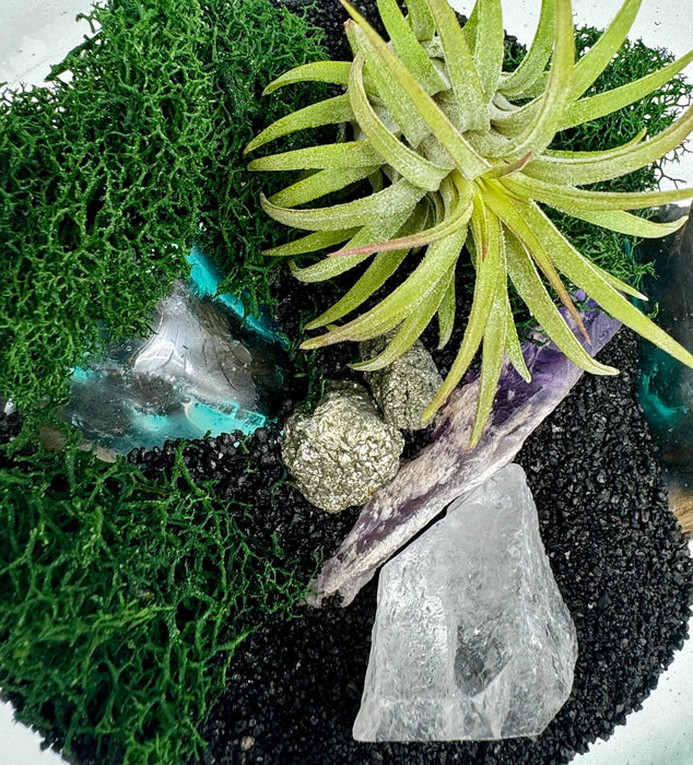 Cave Remnants Terrarium – Hand Blown Glass on Gamal Wood with Air Plant, Crystals, Moss & Black Sand | Coastal Nature Decor Gift