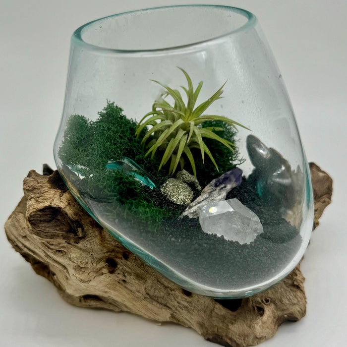 Cave Remnants Terrarium – Hand Blown Glass on Gamal Wood with Air Plant, Crystals, Moss & Black Sand | Coastal Nature Decor Gift