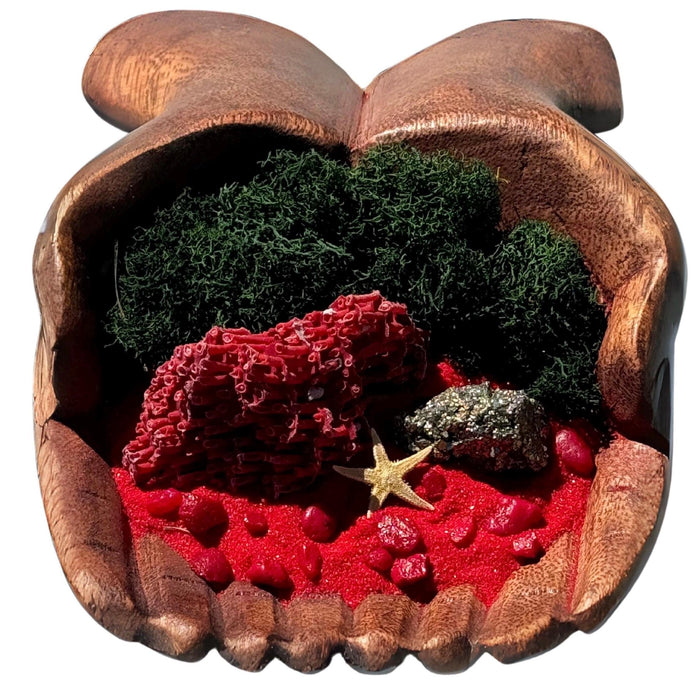 Hand-Carved Wooden Hand Bowl Sculpture with Coral Piece – DIY Decor Kit – Rustic Coastal Accent