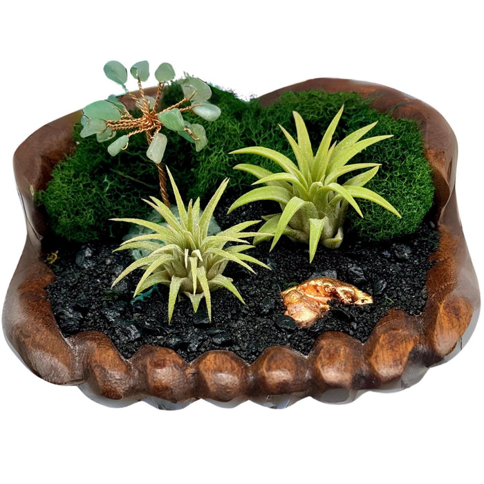 Air Plant Terrarium with Aventurine Tree – Zen Crystal Garden in Hand-Carved Wood Bowl