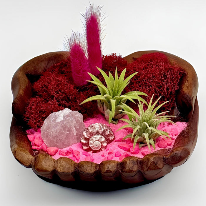 Air Plant Terrarium Kit – Pink Quartz, Shell & Moss in Hand-Carved Wood Hands