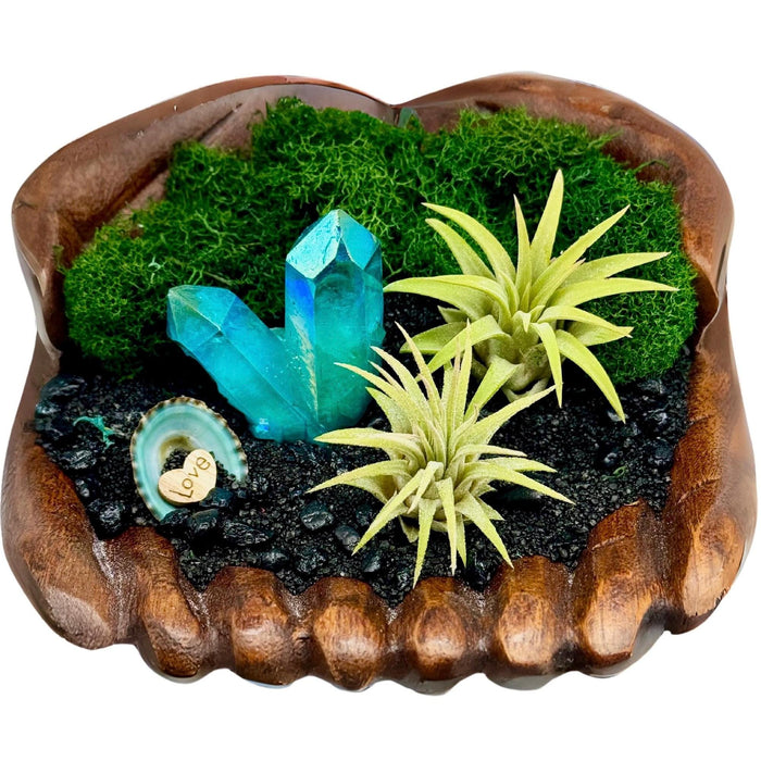Air Plant Terrarium with Aura Crystal – Coastal Display in Hand-Carved Wood Hands