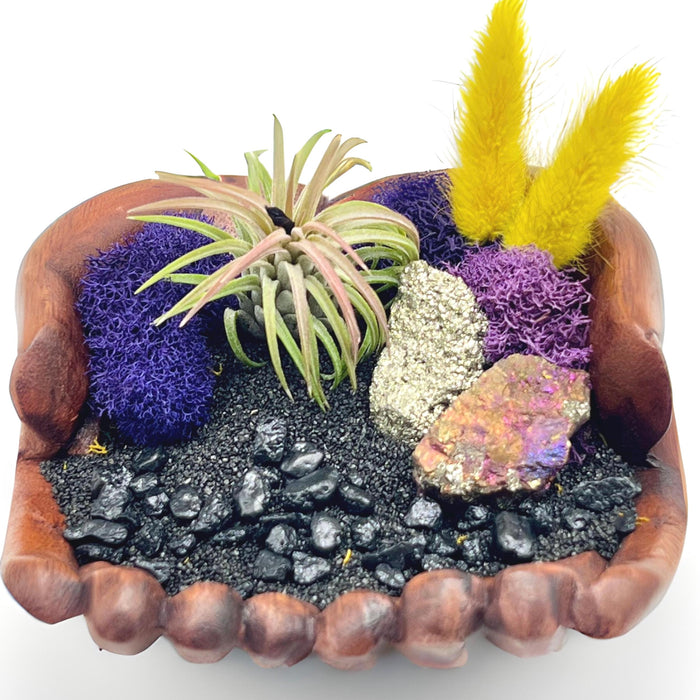 Mystical Air Plant Holder | Hand Carved Wood Display with Pyrite, Peacock Rock & Black Sand | Crystal Decor | Nature Inspired Gift