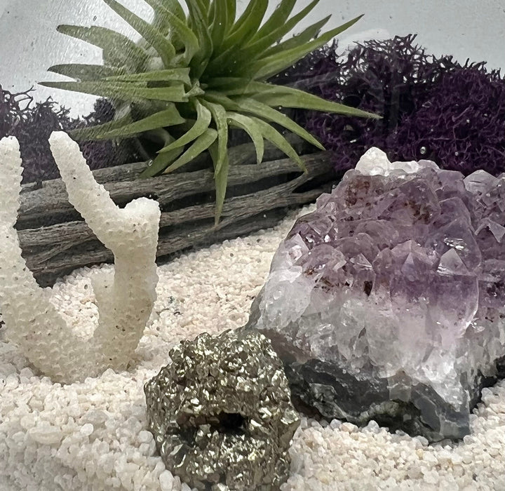 Amethyst Crystal Air Plant Terrarium Kit – Hand Blown Glass, Beach Decor with Coral, Driftwood, Moss, Seascape DIY Gift