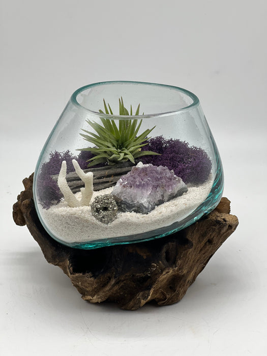 Amethyst Crystal Air Plant Terrarium Kit – Hand Blown Glass, Beach Decor with Coral, Driftwood, Moss, Seascape DIY Gift