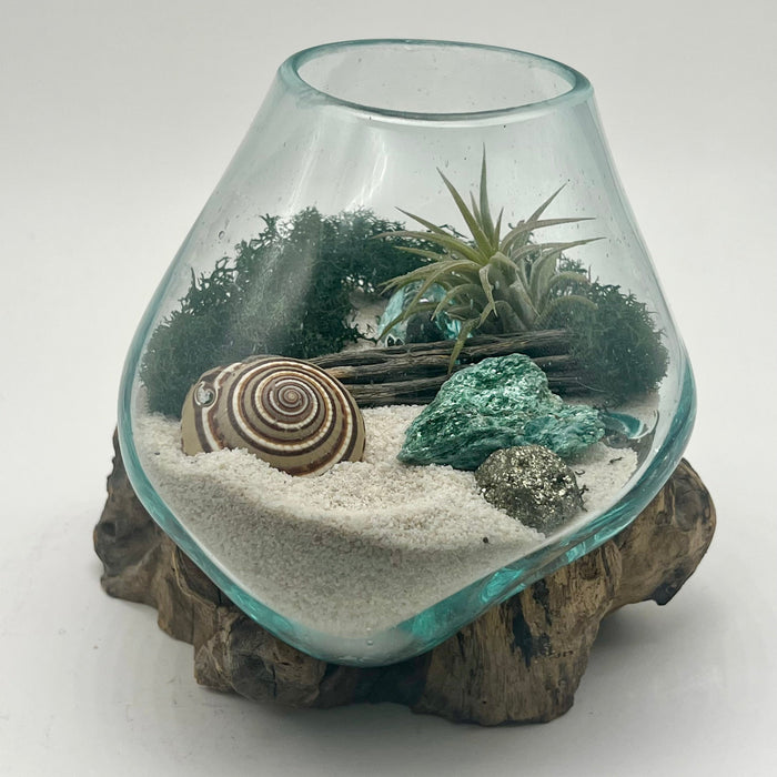 Bring the Beach Indoors: A Look at Our Nature-Filled Glass Terrarium