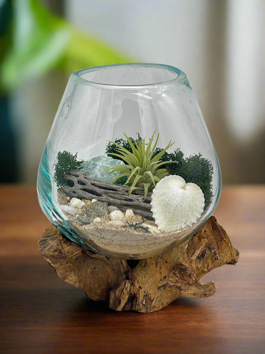 A Plant Lover Gift!  Hand Blown Glass Home Decor for Plant Lovers with a Nature-Inspired Twist