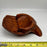 DIY Hand-Carved Wood Hands Bowl with Brown Christmas Spiral Shell Tree, Orange Preserved Rose, Sundial Sea Shell and More