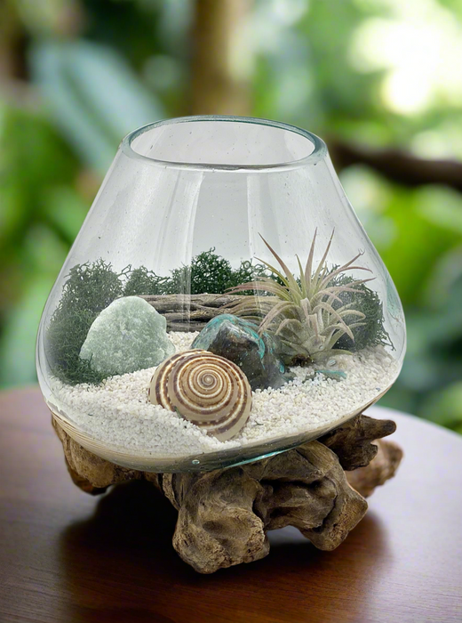 Nature's Serenity: Desktop Air Plant Terrarium - A Hand-Blown Glass DIY Kit for Harmonizing Workspaces with Green Calcite & Seashell Accents