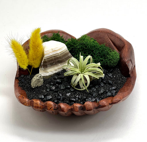 Black and Yellow Beach Air Plant Display with Zebra Calcite, Gold Pyrite, & Dried Foxtail