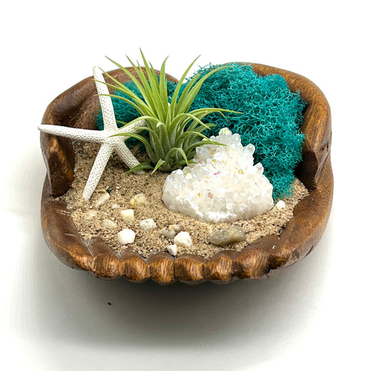 Air Plant Holder - Genuine Angel Aura Crystal with Nature’s Unique Coastal Decor, Crystal Accent Over Hand Carved Wood Hands
