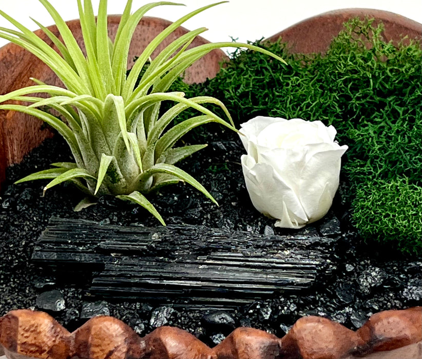 Hand-Carved Wood Hands with Air Plant, Black Tourmaline, and Mini White Rose - Coastal Decor