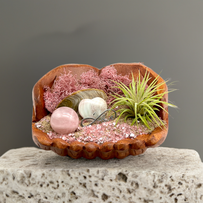 Pink Nautical Air Plant Display – Wooden Bowl, Natural Accents, Love & Spiritual Decor