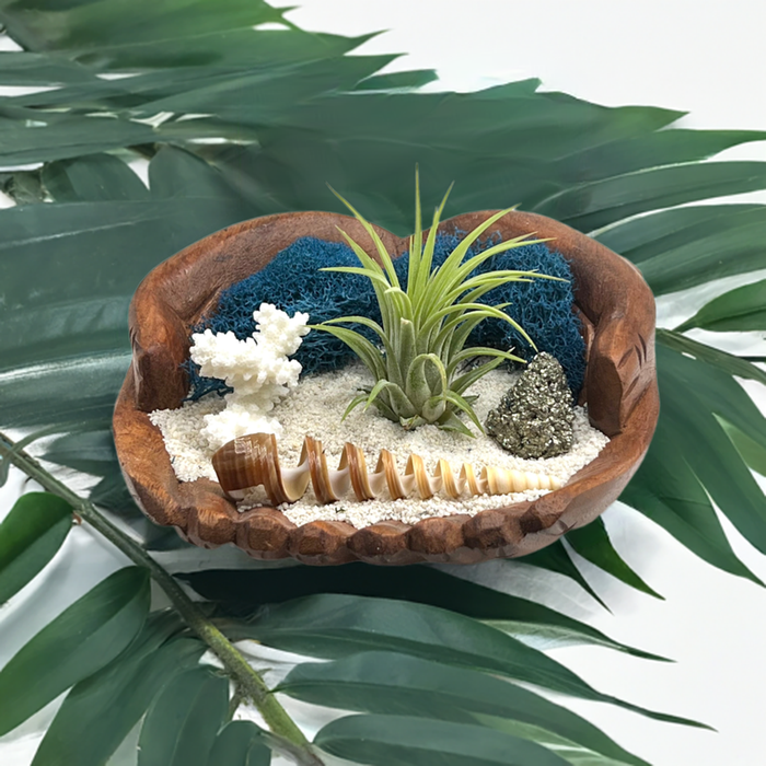 A Tranquil Oasis of Blue Moss, a Spiral Cut Shell, Pyrite Crystal, and Air Plant in Wood Crafted Hands