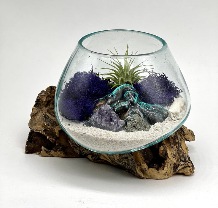 Amethyst Crystal Air Plant Tiny Terrarium, Beach Decor 5x5