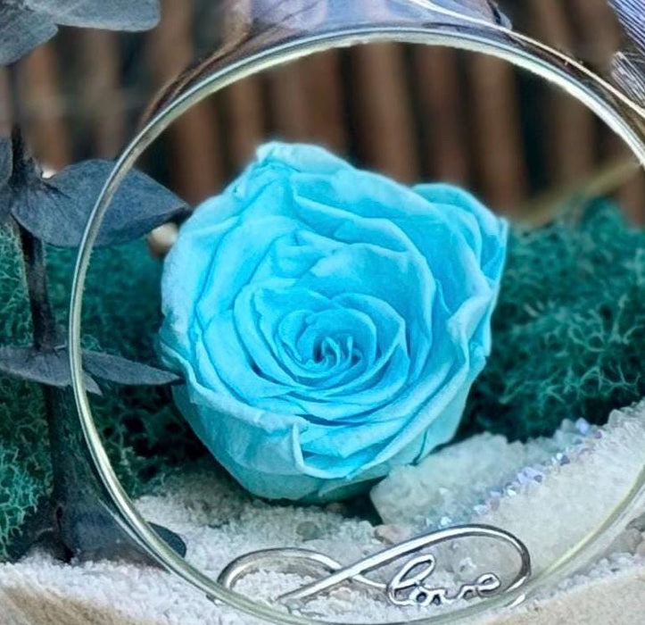 Preserved Blue Rose Hanging Terrarium DIY Kit with Angel Aura Crystal, Desktop Zen Decor, 5x5