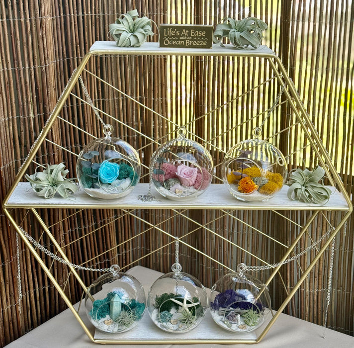 Amethyst Hanging Air Plant Terrarium - DIY Gift for Plant Lovers - Desktop Decor with Hanging Chain - 5x5