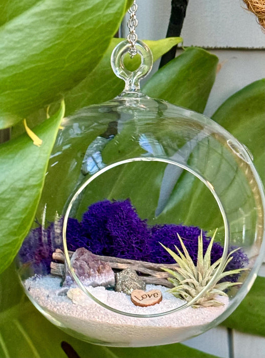 Amethyst Hanging Air Plant Terrarium - DIY Gift for Plant Lovers - Desktop Decor with Hanging Chain - 5x5