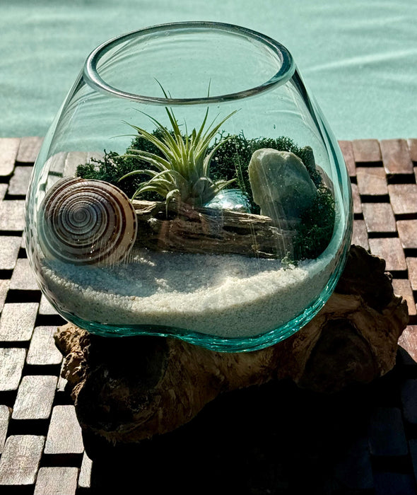 Nature's Serenity: Desktop Air Plant Terrarium - A Hand-Blown Glass DIY Kit for Harmonizing Workspaces with Green Calcite & Seashell Accents