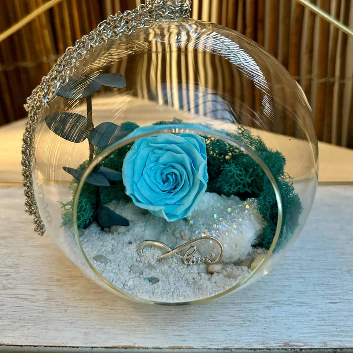 Blue Rose Hanging Terrarium DIY Kit with Angel Aura Crystal, Desktop Zen Decor, 5x5