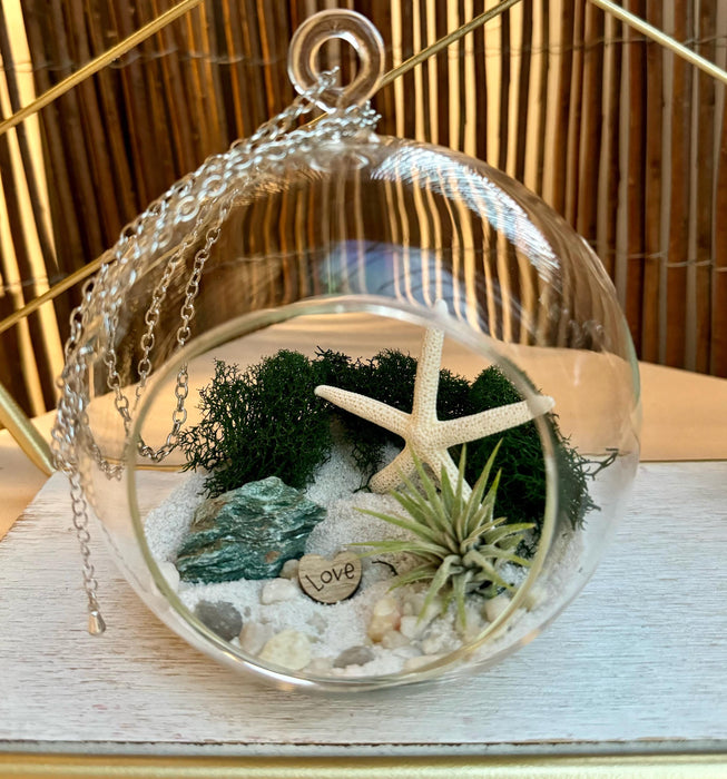 Air Plant Ornament, DIY Hanging Fuchsite Crystal Terrarium Kit, Gift Idea, 5x5 inches