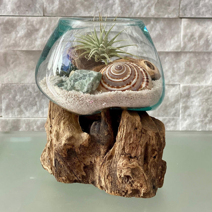 Nature's Serenity: Desktop Air Plant Terrarium - A Hand-Blown Glass DIY Kit for Harmonizing Workspaces with Green Calcite & Seashell Accents