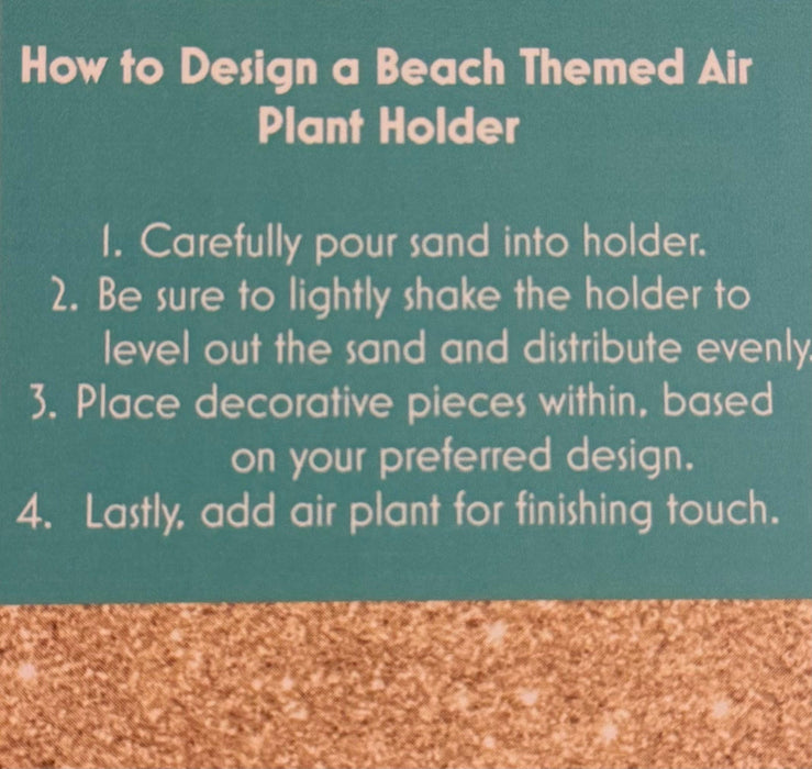 Air Plant Beach Themed Planter DIY Zen Desk KIT for Home and Office - Perfect Gift for Plant Lovers