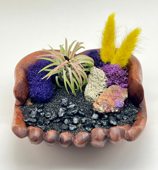 Air Plant Display Holder: Mystical Splendor - Hand-Carved Wood Hands with Peacock Rainbow Rock Accent, Resting on Black Sand Beach