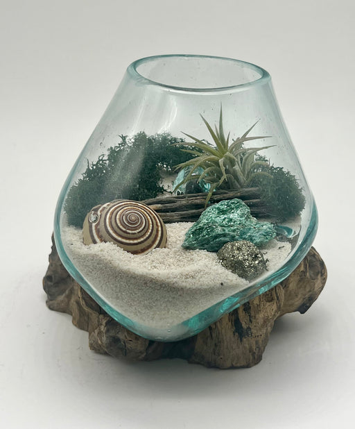 This hand-blown glass air plant terrarium adds style to your decor, with fuchsite and pyrite gold crystal, and a small cholla cactus plant