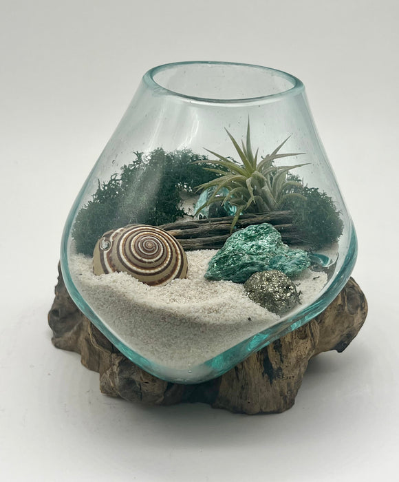 Boho Chic Air Plant Terrarium with Fuchsite and Pyrite Gold Crystal in Hand Blown Glass Holder