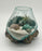 This hand-blown glass air plant terrarium adds style to your decor, with fuchsite and pyrite gold crystal, and a small cholla cactus plant