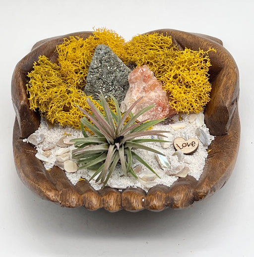 Beachy Air Plant Holder: Hand-Carved Wood Small Space Decor with Golden Yellow Moss and Natural Elements