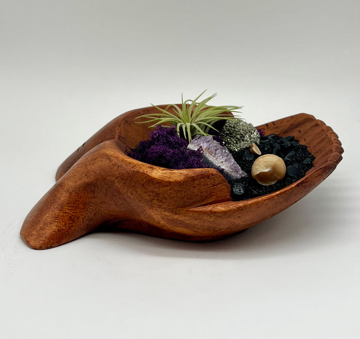 Geniune Amethyst Crystal Beach Decor with Air Plant. Special Gift for Crystal, Plant and Beach Lovers