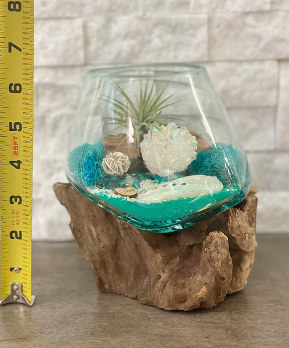 Hand-Blown Glass Air Plant Terrarium with Angel Aura Crystal - Perfect Beach Decor with Turquoise Beach Sand