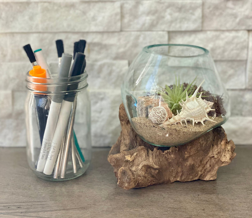 Sea Scape Beach Air Plant Terrarium: Hand-Blown Glass Kit with Natural Wood Base, Table Centerpiece for Coastal Home Decor