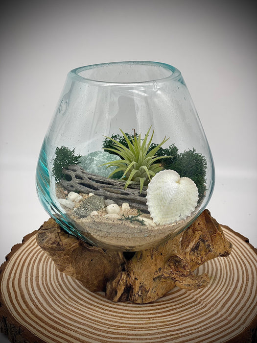 A Plant Lover Gift!  Hand Blown Glass Home Decor for Plant Lovers with a Nature-Inspired Twist