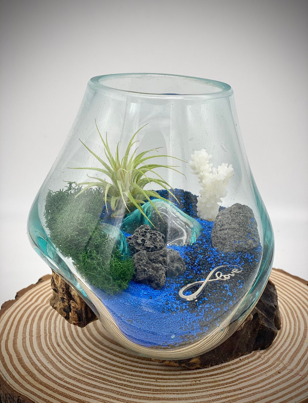 plant terrarium rocks Air Plant Beach Terrarium with Volcanic Rocks and Coral in Blown Glass — Port Dr