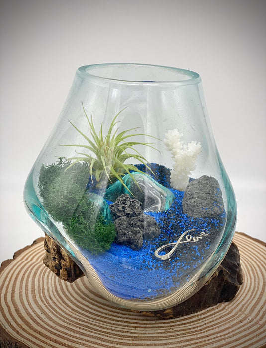 Terrario de playa Air Plant con rocas volcánicas y coral, vidrio soplado, 6x6”, regalo de amor para todas las ocasiones