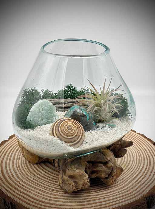Nature Home Beach Decor, Air Plant Terrarium, Blown Glass DIY Terrarium Kit, Green Calcite Natural Stone with Seashell, Desktop Plant
