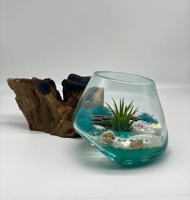 Hand-Blown Glass Air Plant Terrarium with Angel Aura Crystal - Perfect Beach Decor with Turquoise Beach Sand