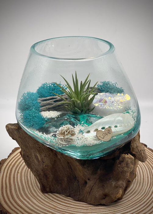 Hand-Blown Glass Air Plant Terrarium with Angel Aura Crystal - Perfect Beach Decor with Turquoise Beach Sand