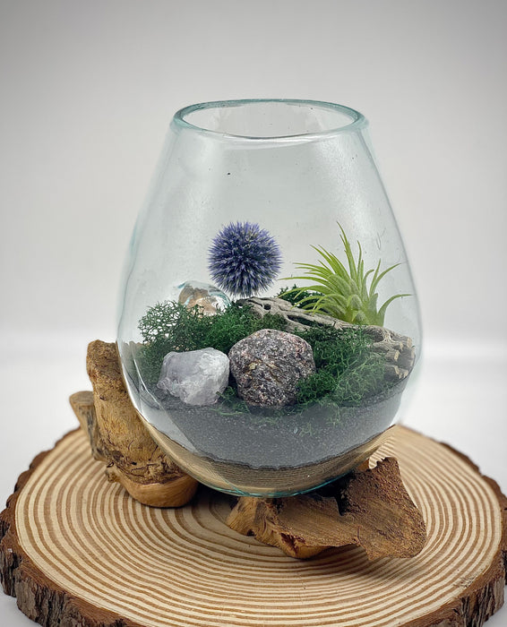 Mystic Forest Air Plant Terrarium - Hand Blown Glass on Gamal Wood with Garnet Quartz, Echinop, and Cholla Wood - 6×6” for Any Occasion