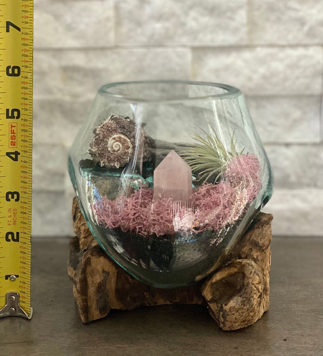 Air Plant Terrarium with Pink Obelisk, Exotic Nautical Shell, Pink Moss and More. Plant Gift DIY Kit