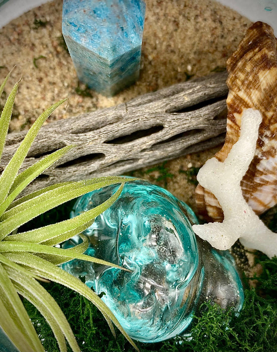 Terrario de playa con planta de aire con obelisco azul / vidrio soplado / brisa del océano / 6x6" / regalo para todas las ocasiones